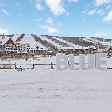 Villa Blue Mtn Getaway In Historic Snowbridge Chalet à Collingwood Extérieur photo