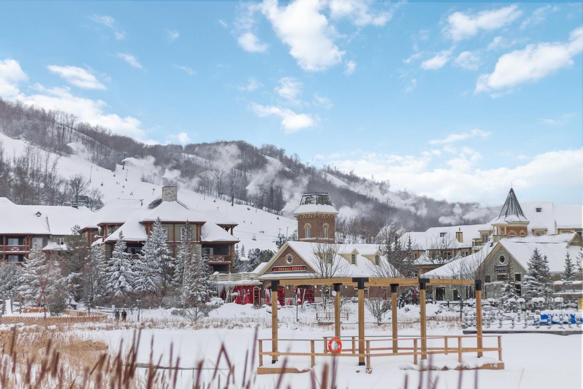 Villa Blue Mtn Getaway In Historic Snowbridge Chalet à Collingwood Extérieur photo