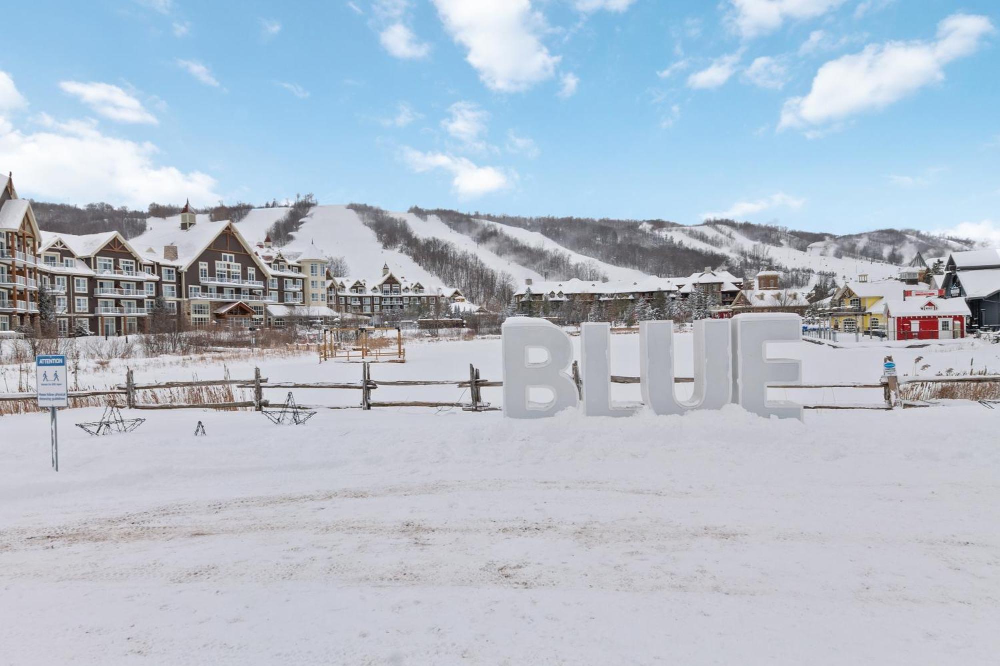 Villa Blue Mtn Getaway In Historic Snowbridge Chalet à Collingwood Extérieur photo