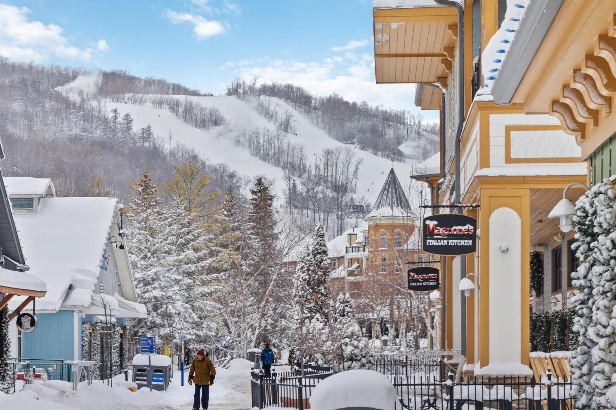 Villa Blue Mtn Getaway In Historic Snowbridge Chalet à Collingwood Extérieur photo