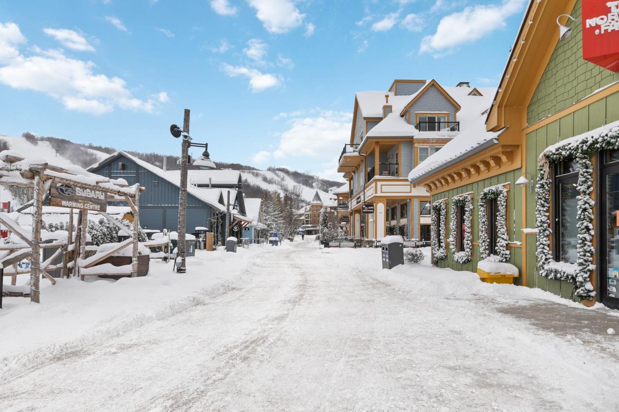 Villa Blue Mtn Getaway In Historic Snowbridge Chalet à Collingwood Extérieur photo